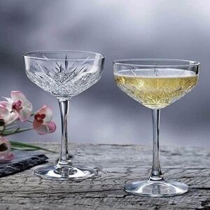 📦 MOVING SALE Anthropologie Set of 2 Champagne Cocktail Glasses Glass Etched